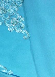 Beautiful Beaded sky Blue Saree + free blouse
