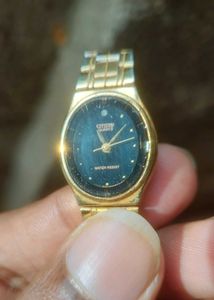 Citizen Gold Tone Quartz Watch for womens