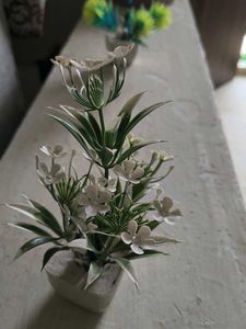 Miniature White Flower Arrangement