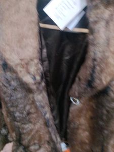 Blazer Ad Stone Both Hand And Bruche .