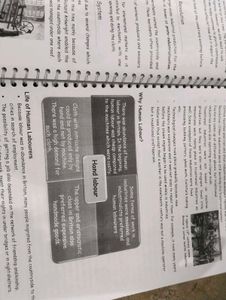 History Book class 10