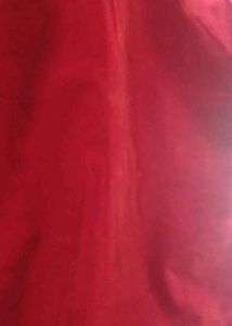 Velvet coat