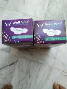 Wellwet Sanitary Pads 2 Box