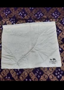 Coach Dust Bag