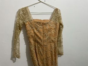 Elegant Ethnic Gown