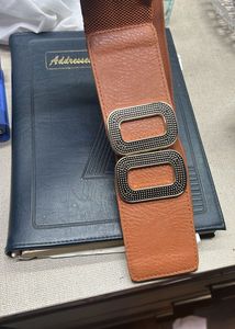 Brown Elastic Belt with Ornate Buckle