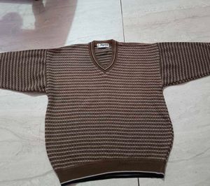 Striped V-Neck Knit Sweater