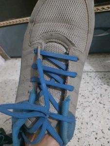 Gray &amp; Blue Sneakers