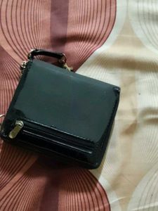 Baggit Black Patent Wallet