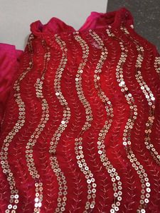 Stunning Sequin Lehenga Choli