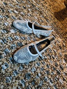 Elegant Embroidered Mesh Ballet Flats