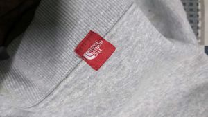 the north face hoodi