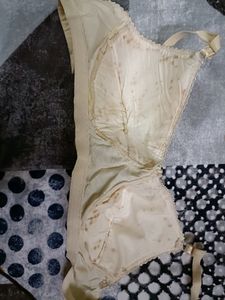 New Paded Bralette