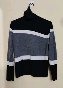 Striped Turtleneck Sweater
