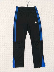 Adidas Track Pants