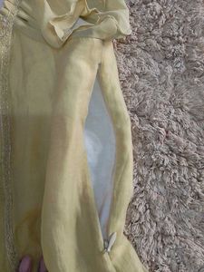 Light Yellow Ruffled Sleeve Top