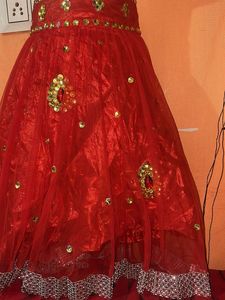 Stunning Red Embellished Skirt