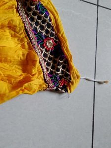 Vibrant Embroidered Ethnic Skirt