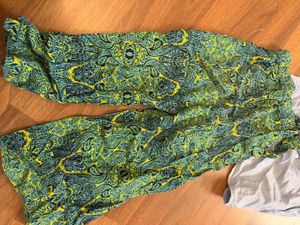 Vibrant Embroidered pants and Choli Set