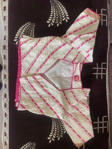 Embroidered Lehenga Skirt