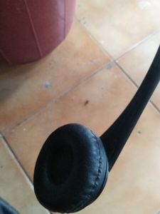 Black Headphones