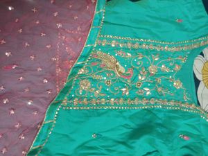 Peacock Embroidery suit