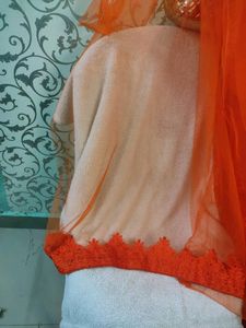 Party Wear Net Saree