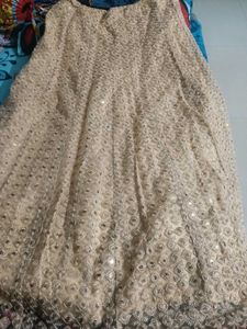 Embroidered Lehenga Skirt