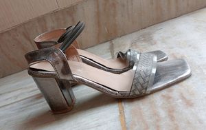 Beautiful Silver Heels