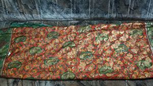 Paisley Saree
