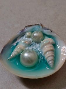 Seashell Pearl Fridge Magnet