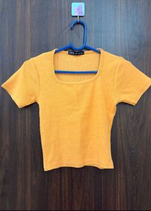 Mustard Crop Top - Trendy &amp; Stylish