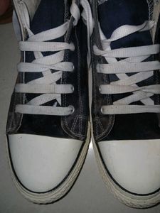 The Roadster Life Co. Canvas High-Top Sneakers