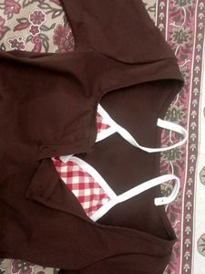 Brown Cropped Top with Bikini Style Inner