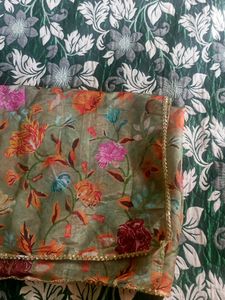 Beautiful Organza Dupatta