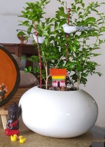 Hut Miniature For Decor Purpose
