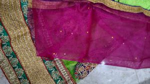 Elegant Lehenga Choli
