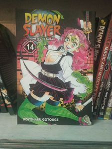 Demon Slayer Vol 14