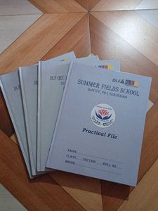 Summer Fields School Practical File