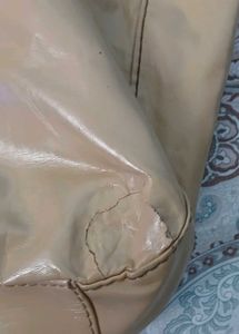 Chic Beige Hobo Aldo Bag