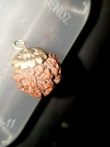 Natural Rudraksha Bead Pendant