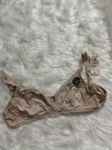 Brief