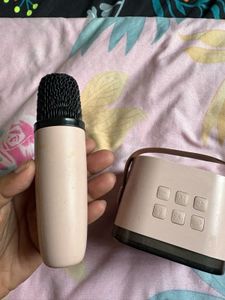 Portable Wireless Microphone and Speaker Set