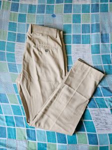 Turtle Beige Formal Pant