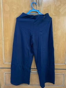 Formal Blue Pallazo Pants