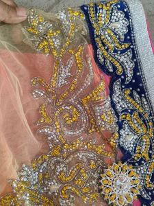 Beautifully Embellished Saree