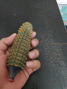Acupressure Wooden Karela
