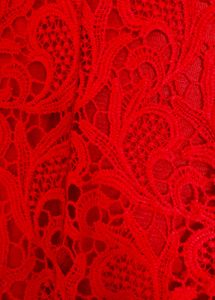 Elegant Red Lace Top