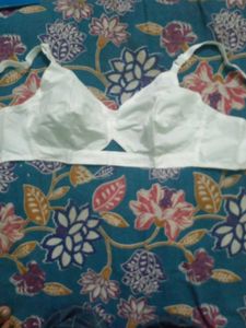 Bra Size 36