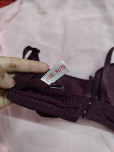 Burgundy Everyday Bra